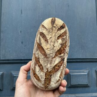 BROOD ÉCUREUIL - spécial février